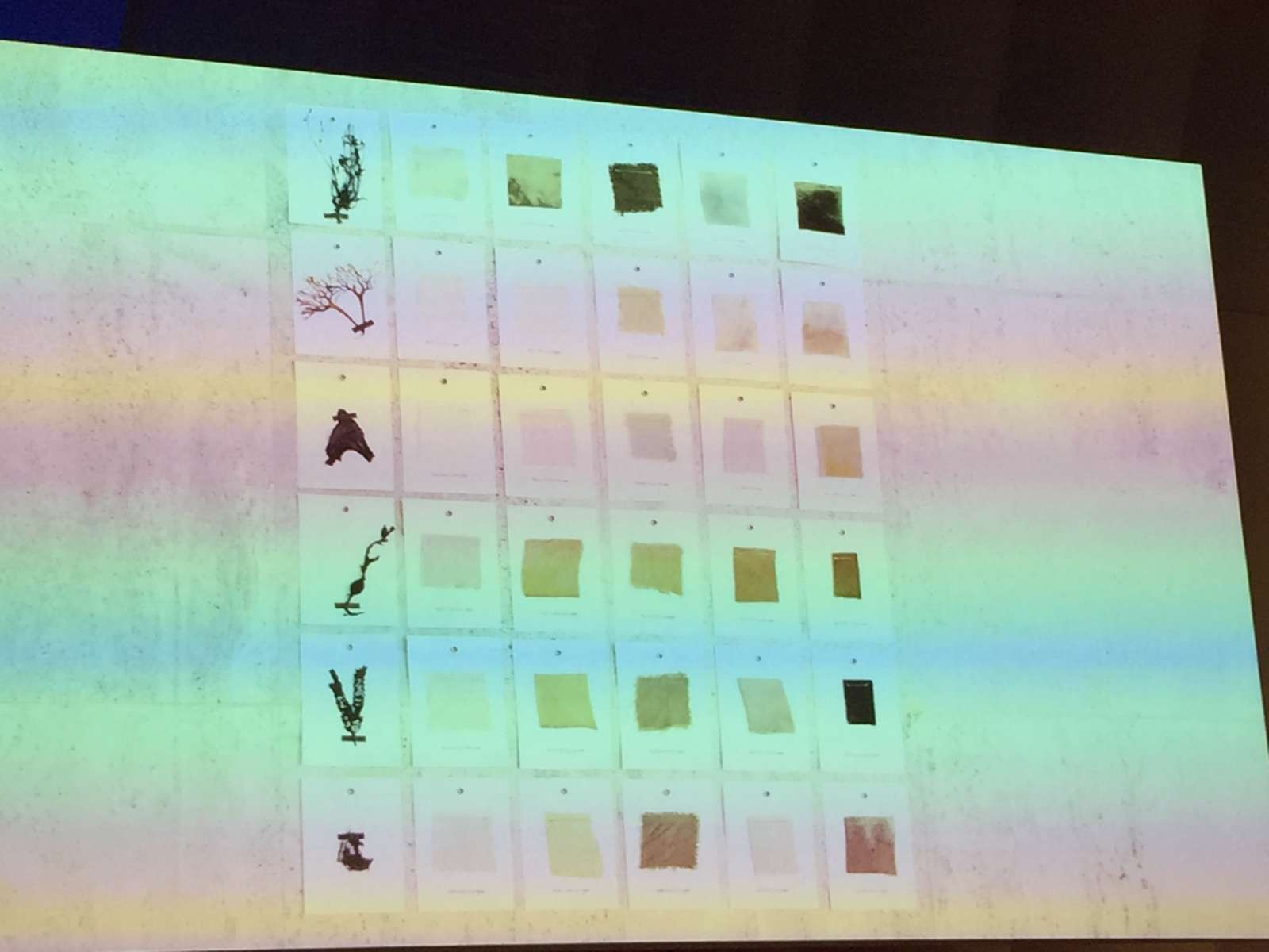 Natürliche Farbpalette aus Seetang